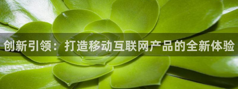先锋娱乐管理集团招聘