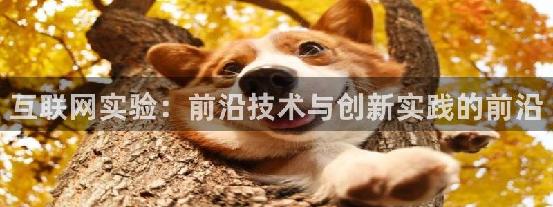 先锋娱乐软件