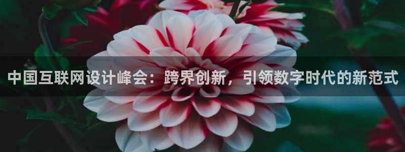 先锋娱乐公司