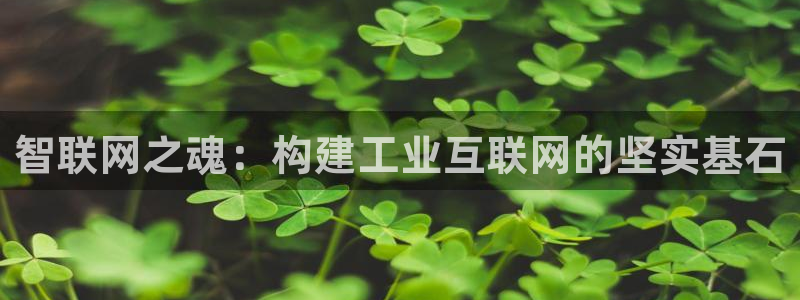 先锋娱乐大厅首页