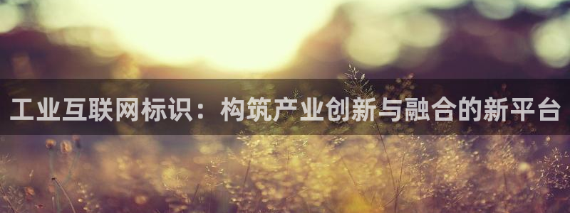 先锋娱乐资讯官网入口