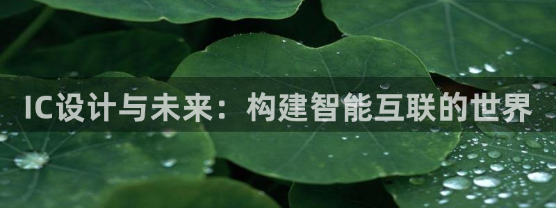 先锋娱乐垫付金额
