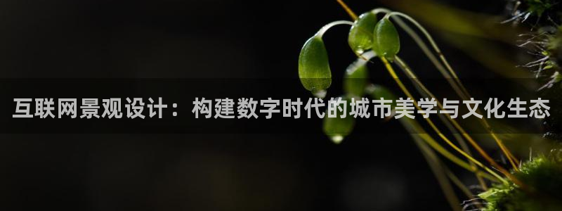 先锋综合娱乐