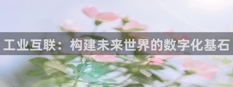 先锋娱乐剪辑