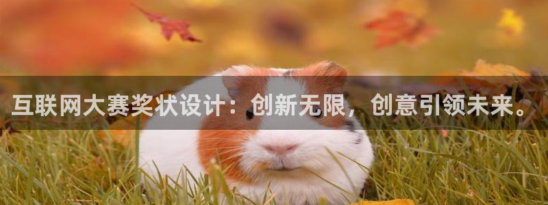 先锋娱乐在线