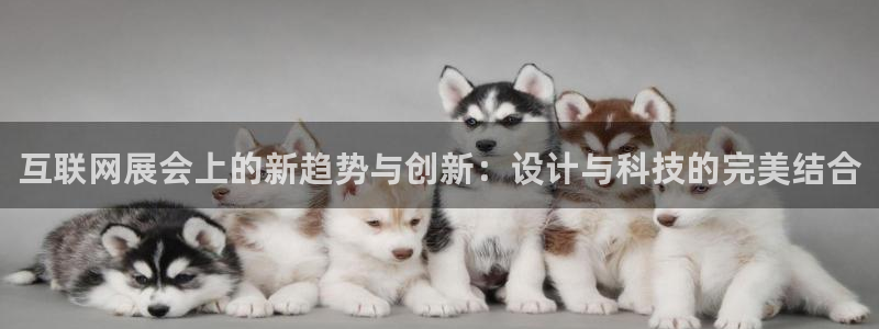 先锋娱乐传媒