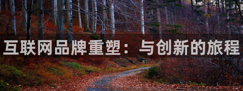 先锋娱乐集团公司