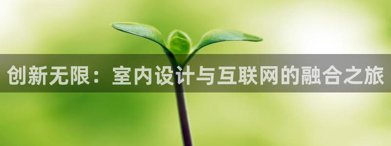 娱乐急先锋全集下载