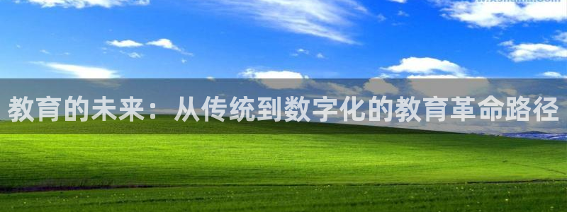 先锋娱乐理财