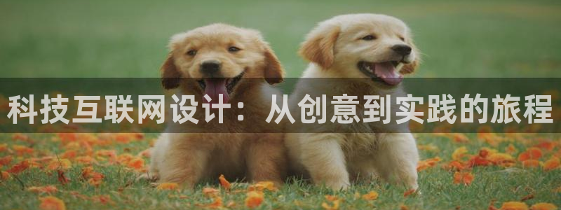 先锋队娱乐