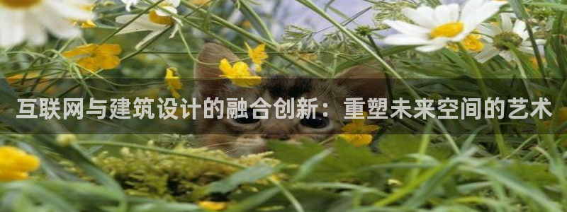 先锋娱乐汇：互联网与建筑设计的