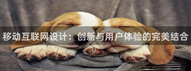 先锋娱乐大厅牛牛