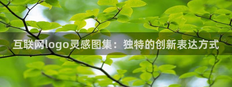 吉林先锋娱乐