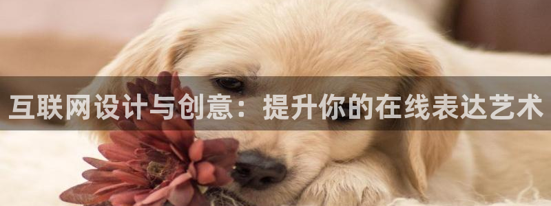 贵州先锋娱乐