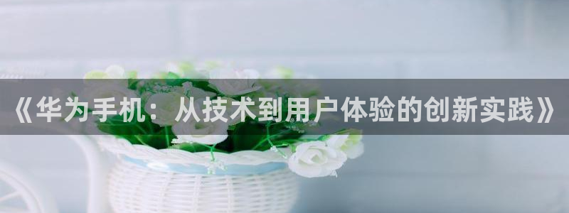先锋娱乐客服