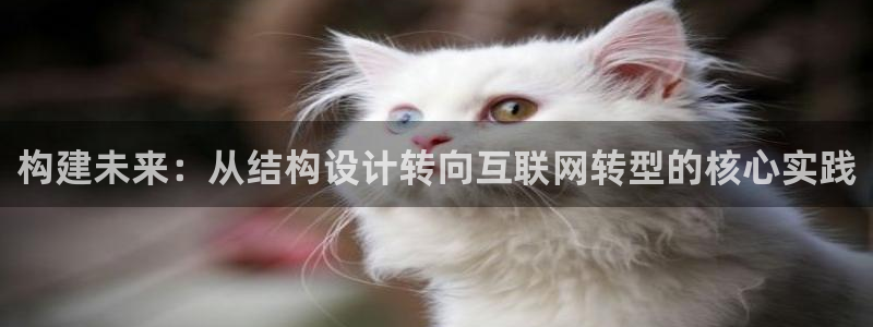 先锋娱乐大厅首页：构建未来：从