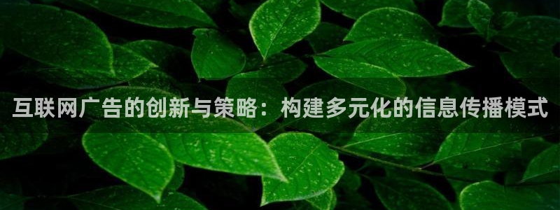 先锋娱乐公司