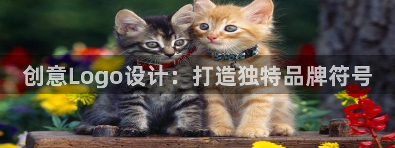 先锋岛娱乐