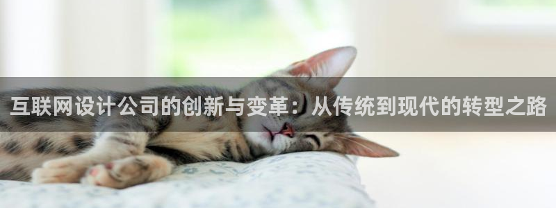 先锋娱乐软件