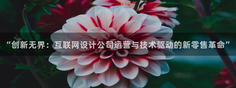 先锋 娱乐