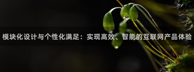先锋方舟娱乐集团