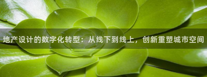 先锋娱乐垫付金额