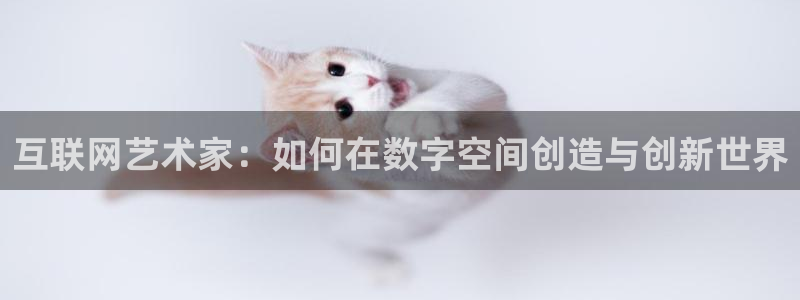 先锋娱乐公司