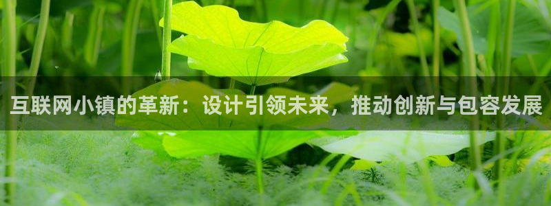 先锋支付娱乐城：互联网小镇的革