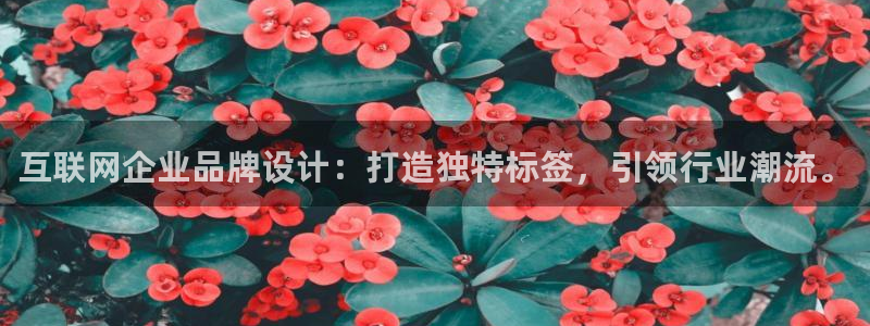 先锋娱乐体育：互联网企业品牌设